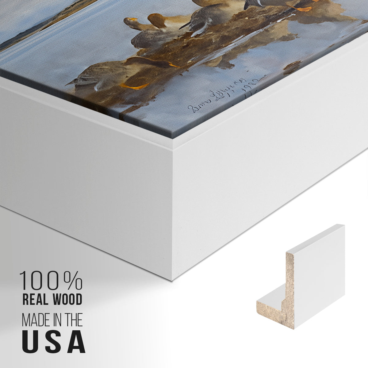 Close-up of the white floater frame corner and gallery wrapped canvas construction.