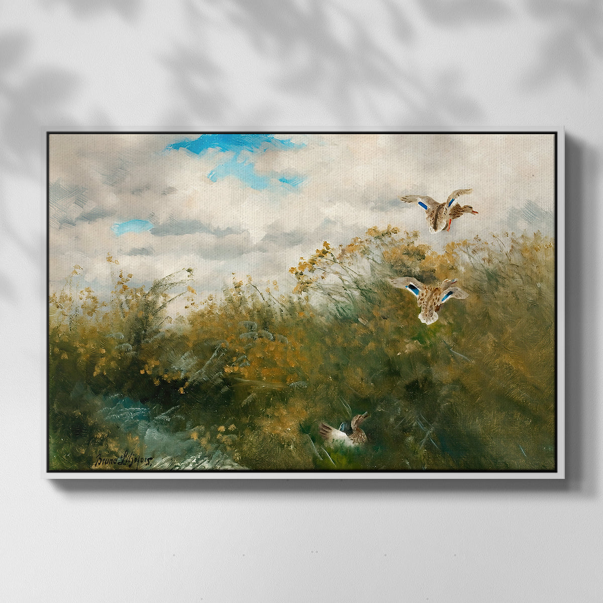 Front view of Wild Ducks (Grasänder), 1890 by Bruno Liljefors in a white floater framed canvas.