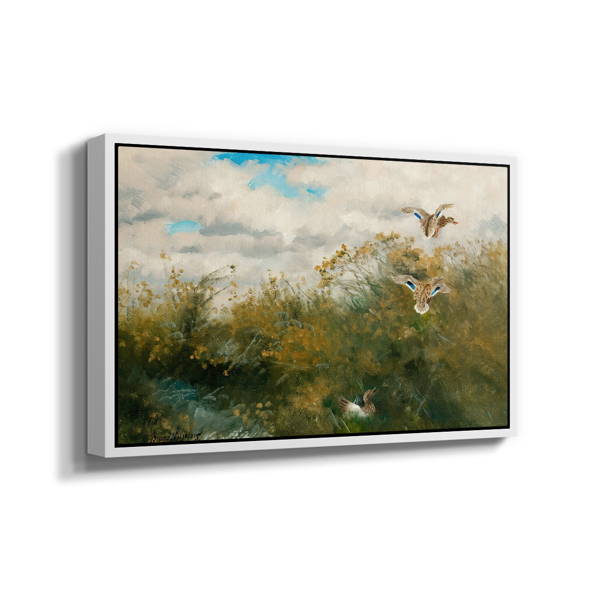 Angled view of Wild Ducks (Grasänder), 1890 by Bruno Liljefors in a white floater framed canvas.