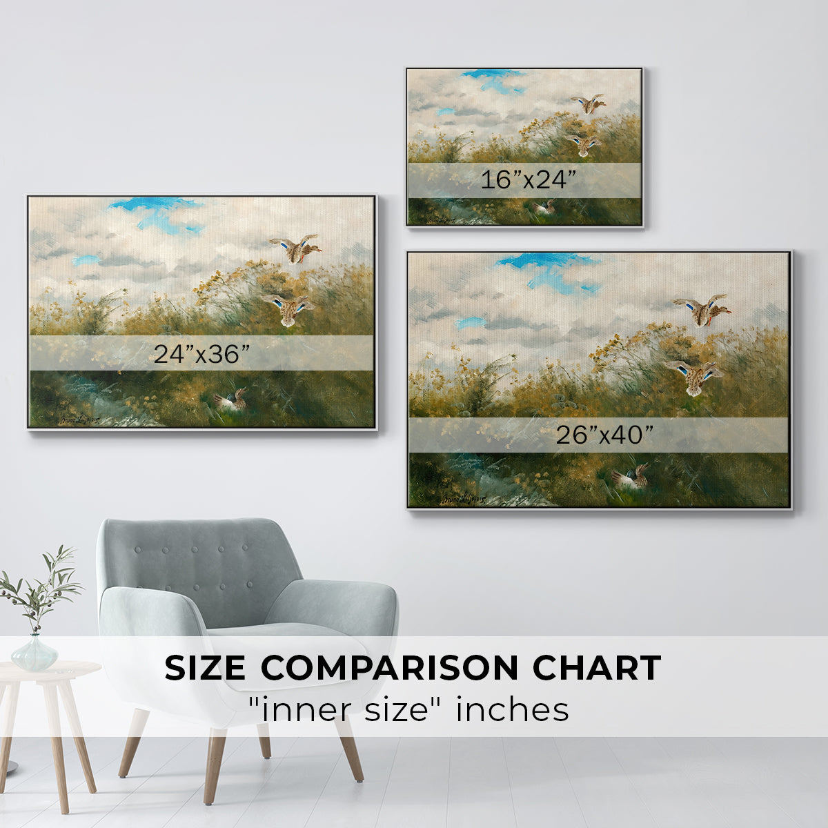 Size comparison chart for white floater framed canvas featuring Wild Ducks (Grasänder), 1890 by Bruno Liljefors.