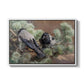 Hooded Crows (Kråkor), 1891 by Bruno Liljefors in a white floater framed canvas wall art display.