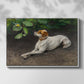 Front view of Portrait of a Dog, 1891 by Bruno Liljefors in a white floater framed canvas.