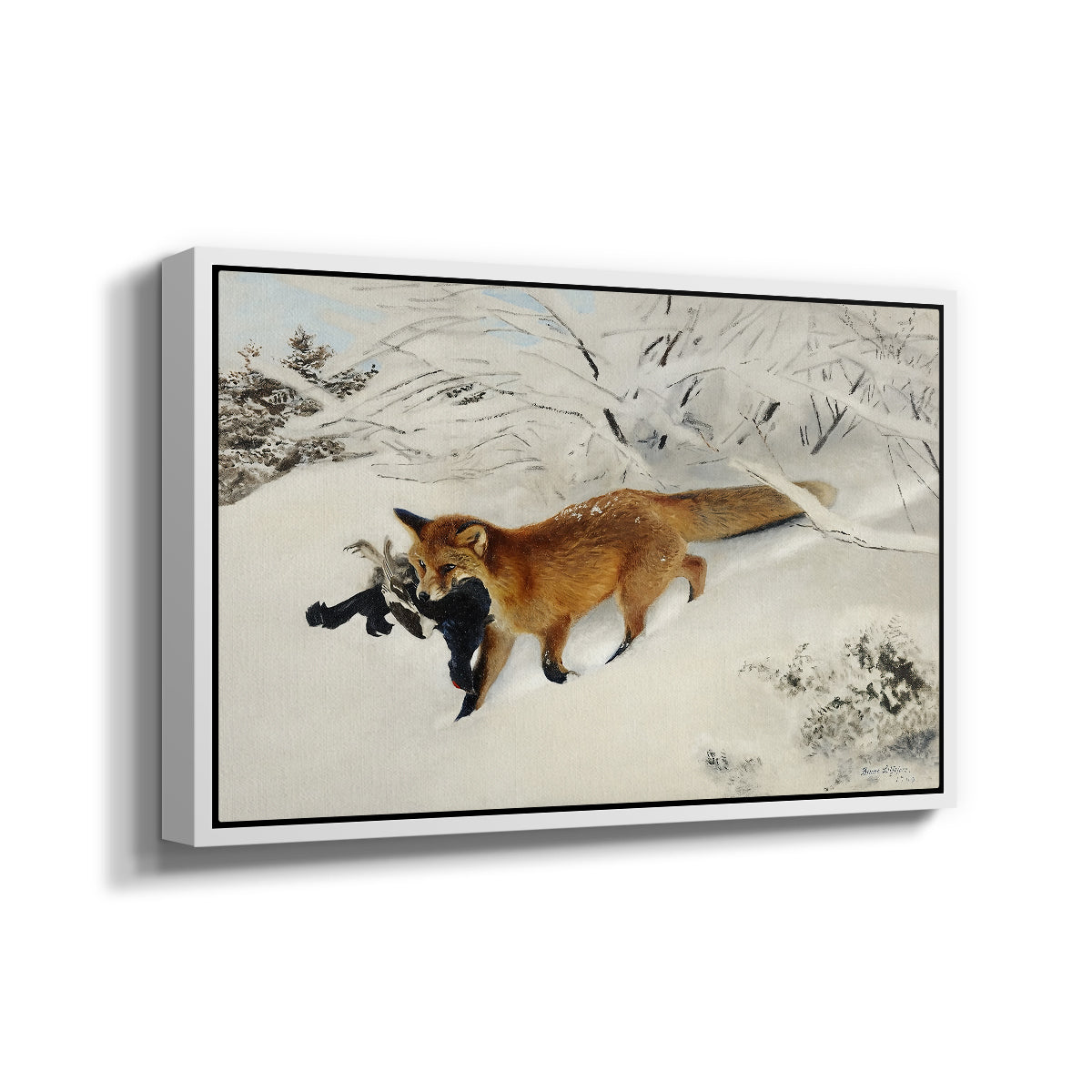 Angled view of Fox in Snow Landscape, 1900 by Bruno Liljefors in a white floater framed canvas.