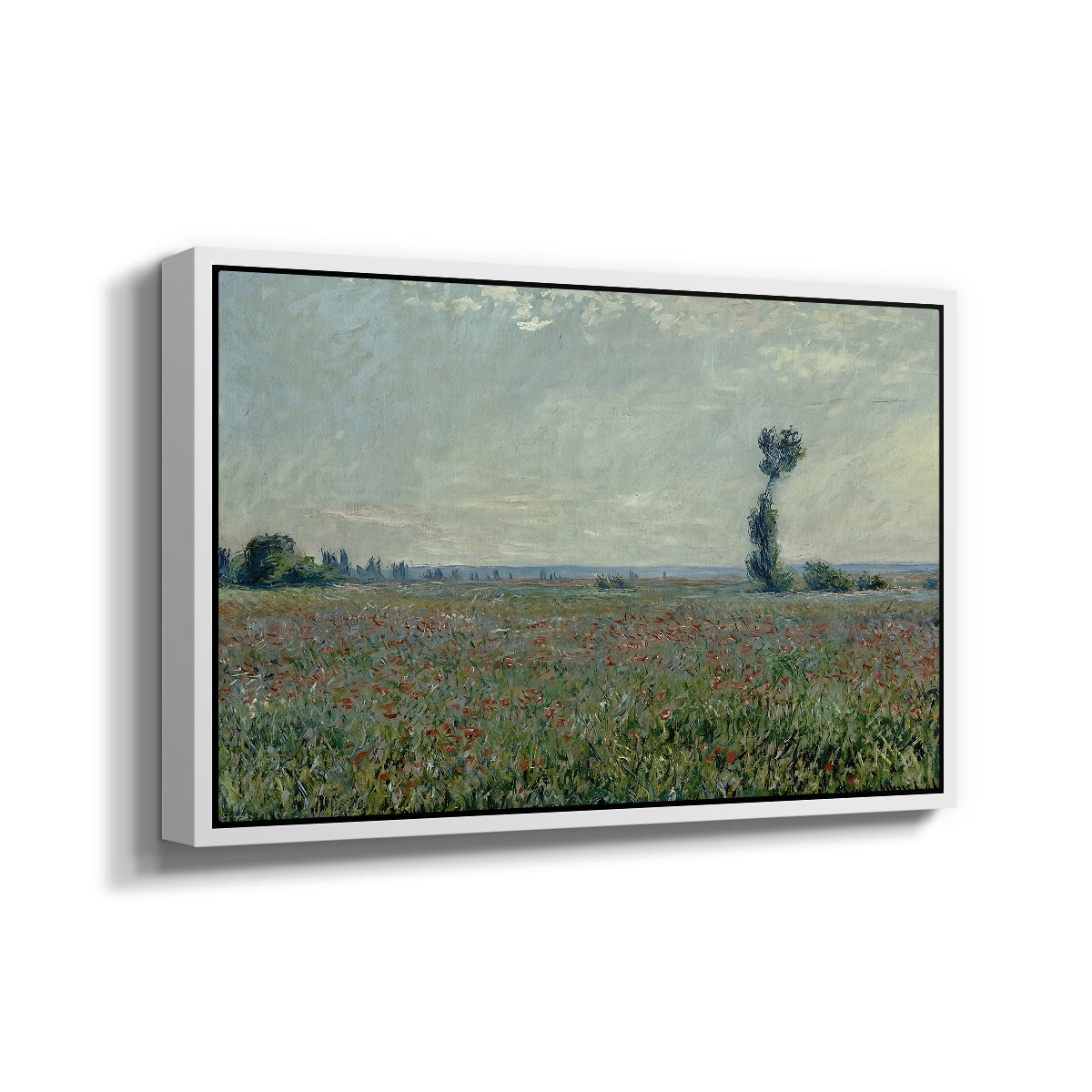 Angled view of Poppy Field, 1881 by Claude Monet in a white floater framed canvas.