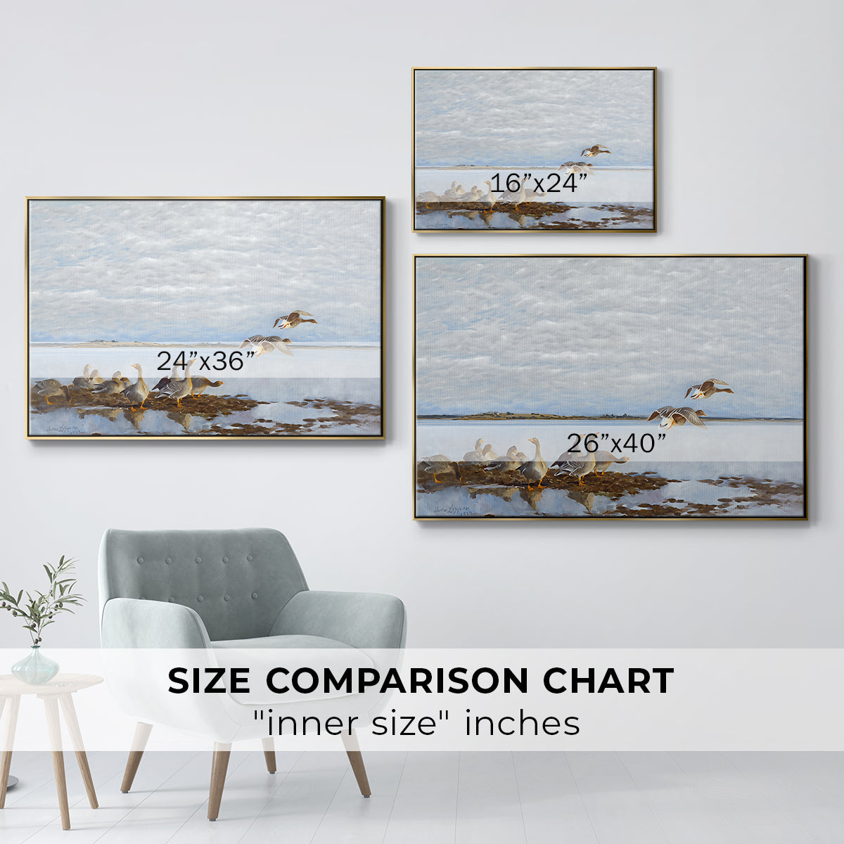 Size comparison chart for gold floater framed canvas featuring Greylag Geese (Grågäss), 1922 by Bruno Liljefors.