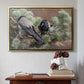 Gold floater framed canvas featuring Hooded Crows (Kråkor), 1891 by Bruno Liljefors above an entryway table in a minimalist foyer.