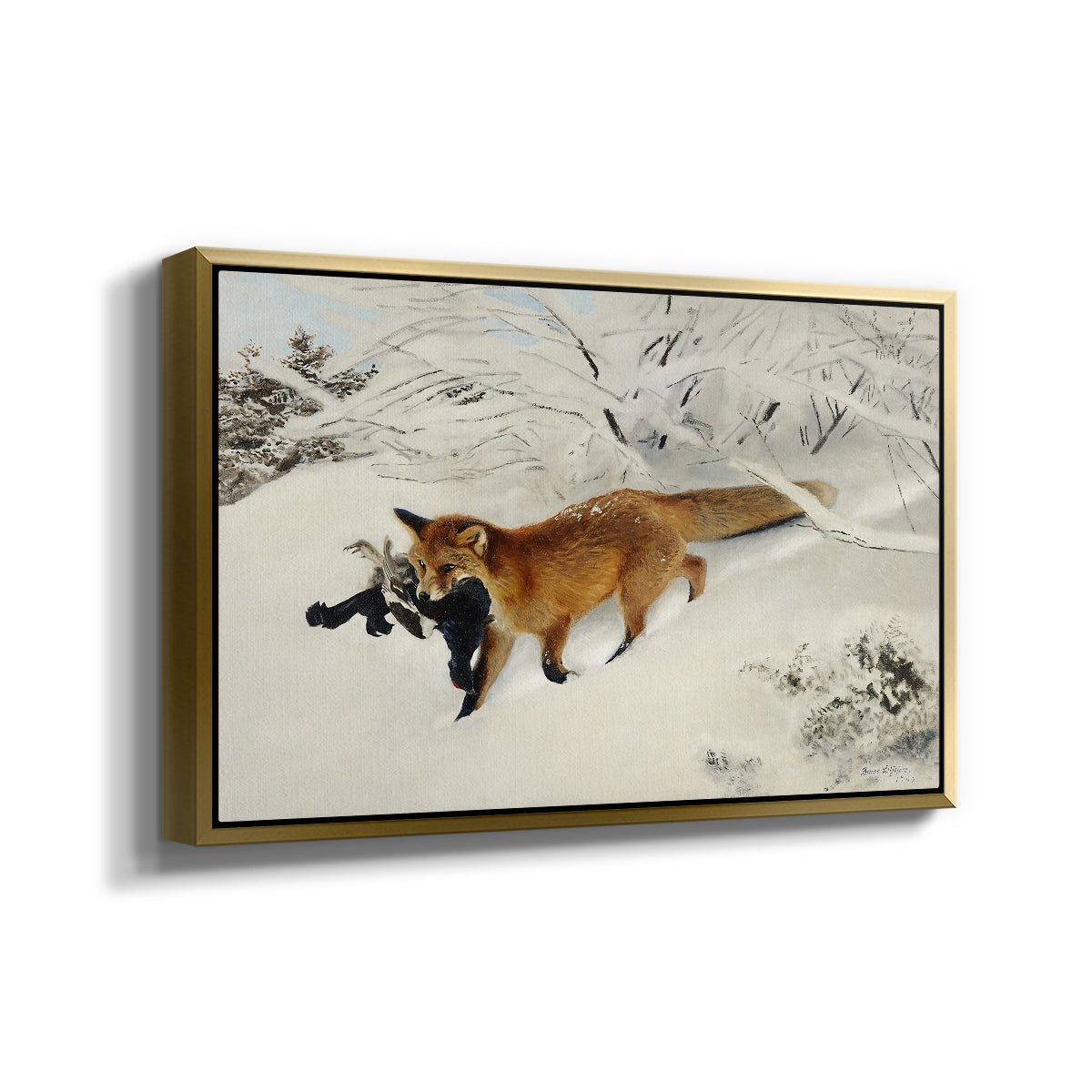 Angled view of Fox in Snow Landscape, 1900 by Bruno Liljefors in a gold floater framed canvas.