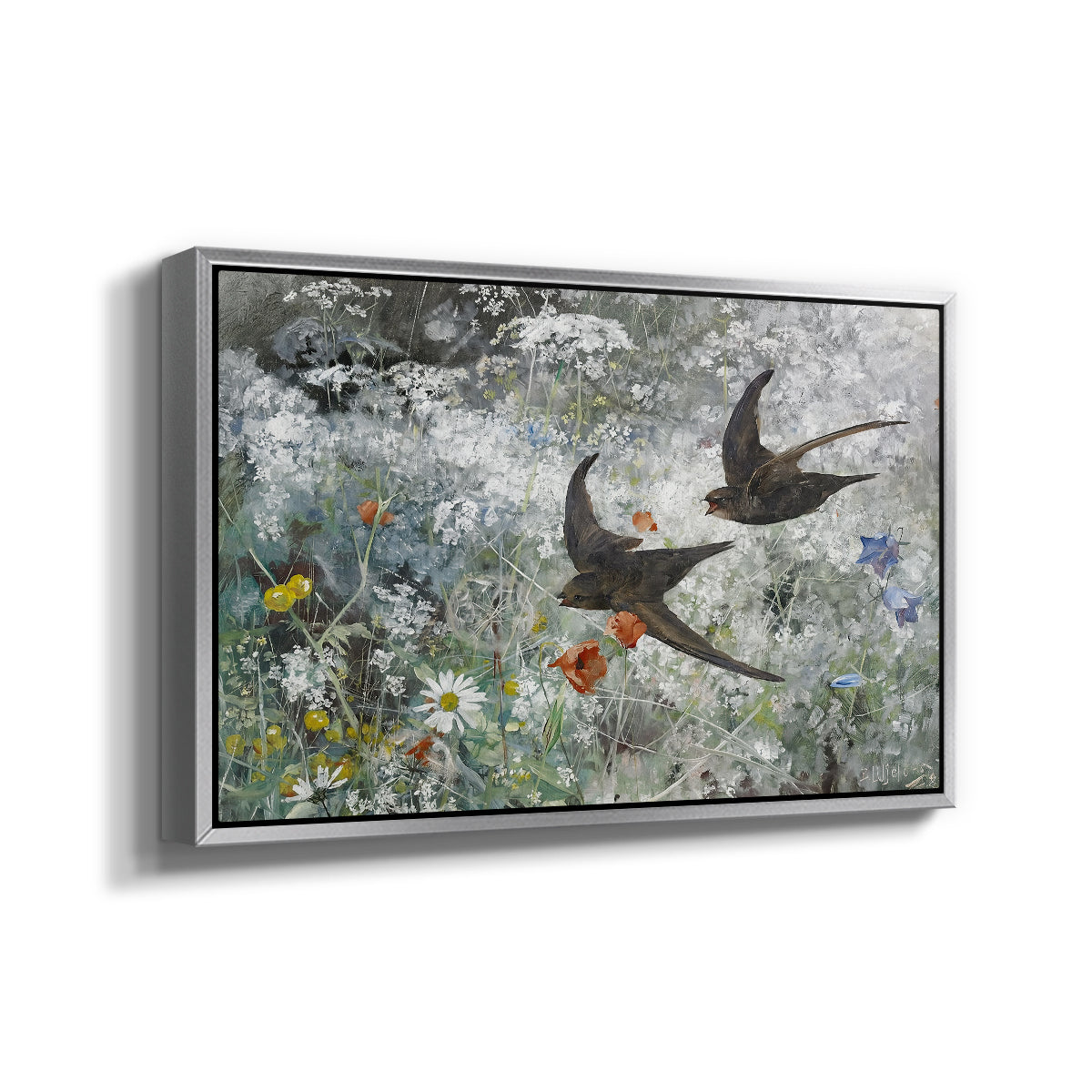 Angled view of Common Swifts, 1886 by Bruno Liljefors in a silver floater framed canvas.