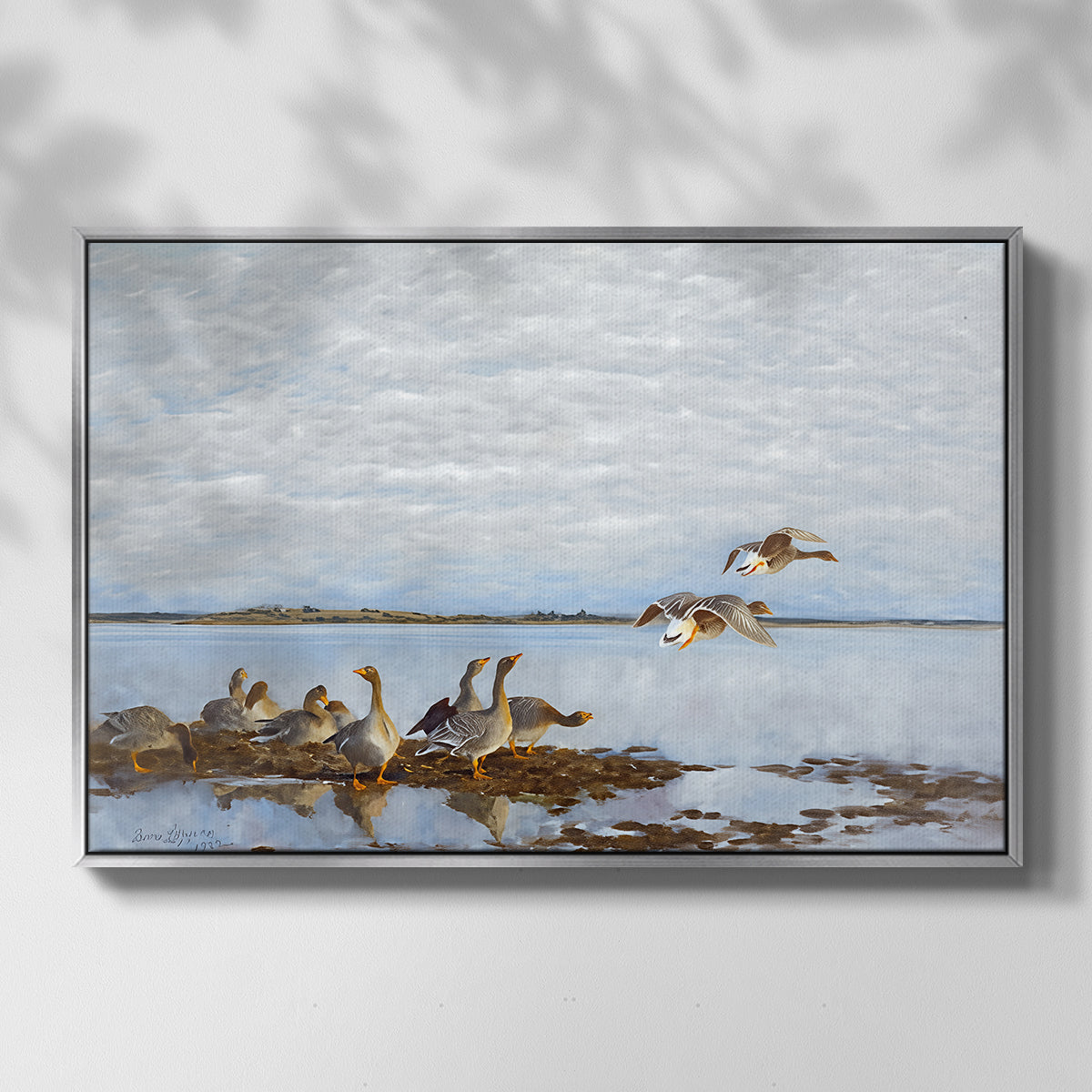 Front view of Greylag Geese (Grågäss), 1922 by Bruno Liljefors in a silver floater framed canvas.