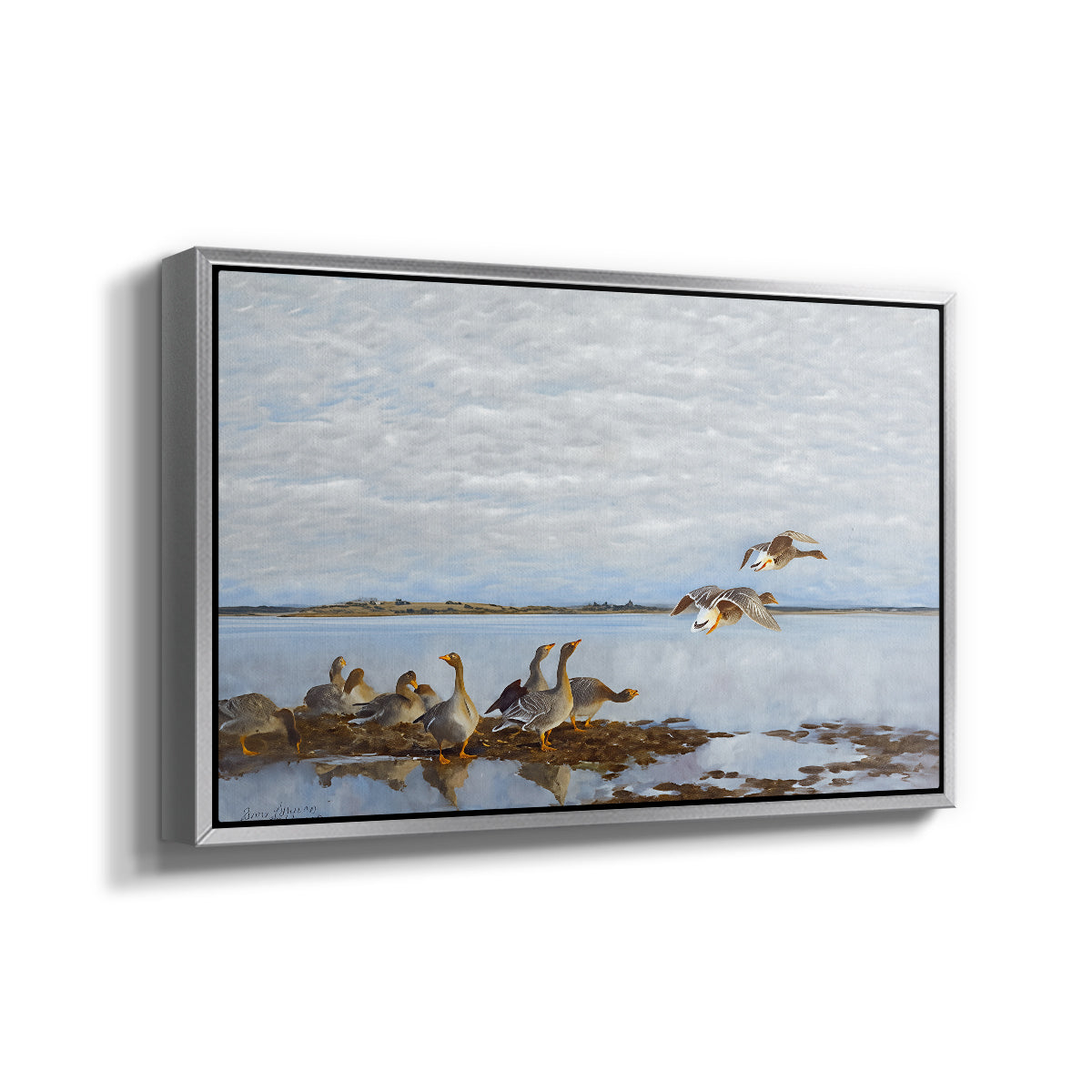 Angled view of Greylag Geese (Grågäss), 1922 by Bruno Liljefors in a silver floater framed canvas.