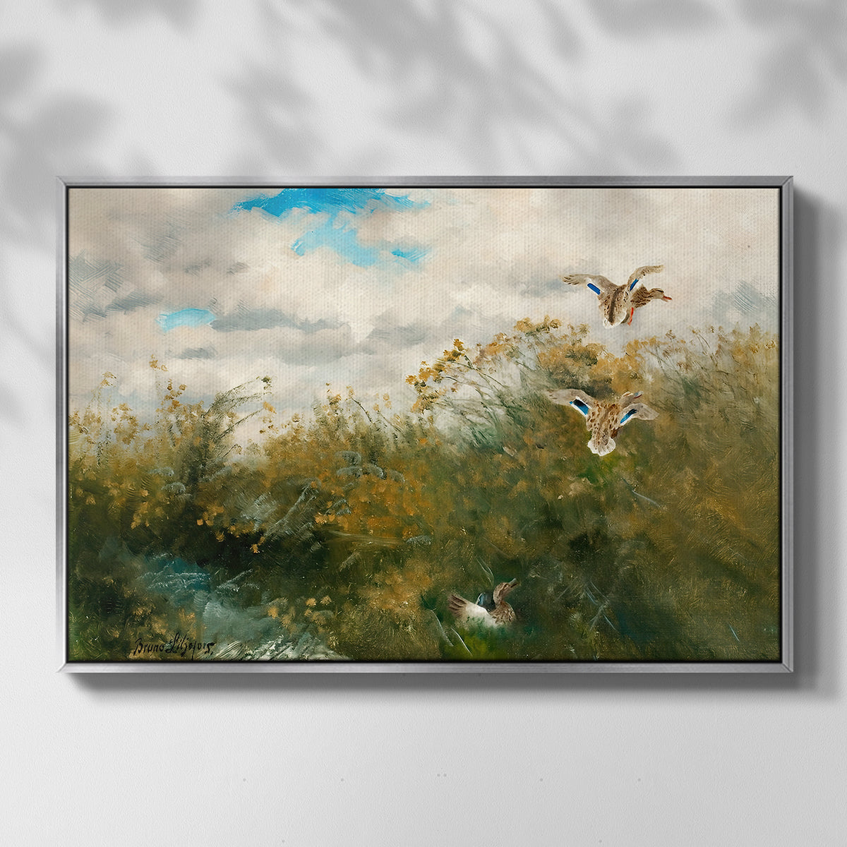 Front view of Wild Ducks (Grasänder), 1890 by Bruno Liljefors in a silver floater framed canvas.