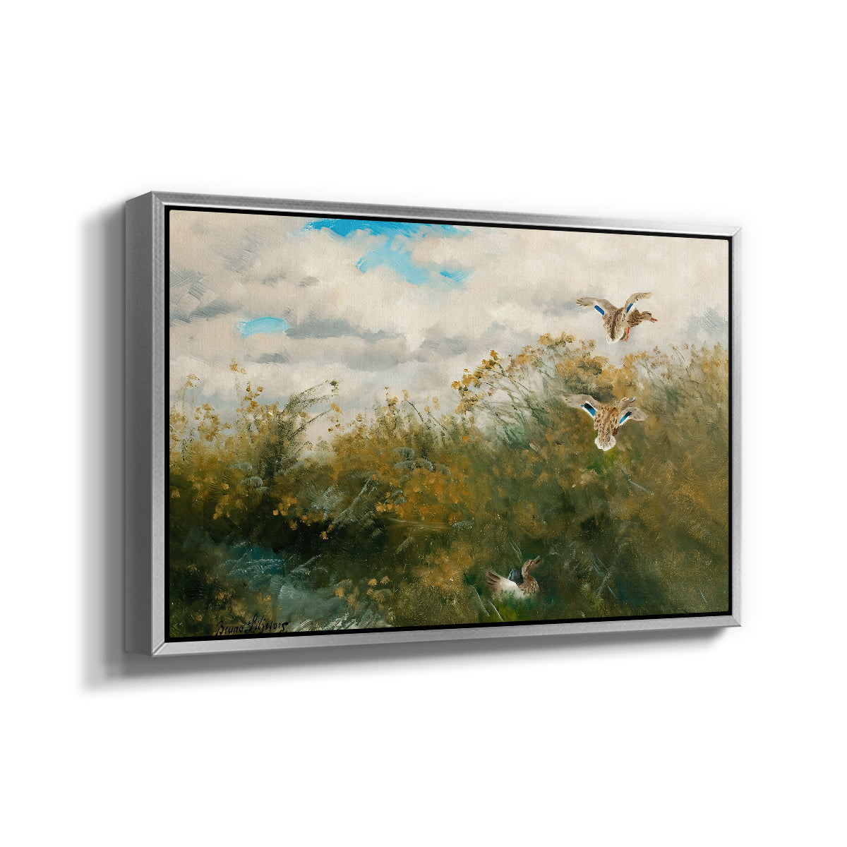 Angled view of Wild Ducks (Grasänder), 1890 by Bruno Liljefors in a silver floater framed canvas.