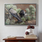 Silver floater framed canvas featuring Hooded Crows (Kråkor), 1891 by Bruno Liljefors above an entryway table in a minimalist foyer.