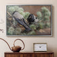 Silver floater framed canvas featuring a realistic scene of crows interacting on grassy terrain, displayed above a cabinet in a soft-toned living room.