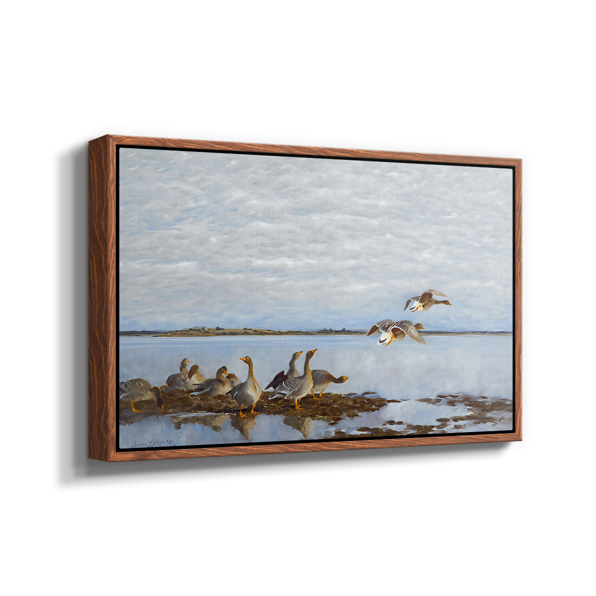 Angled view of Greylag Geese (Grågäss), 1922 by Bruno Liljefors in a walnut floater framed canvas.