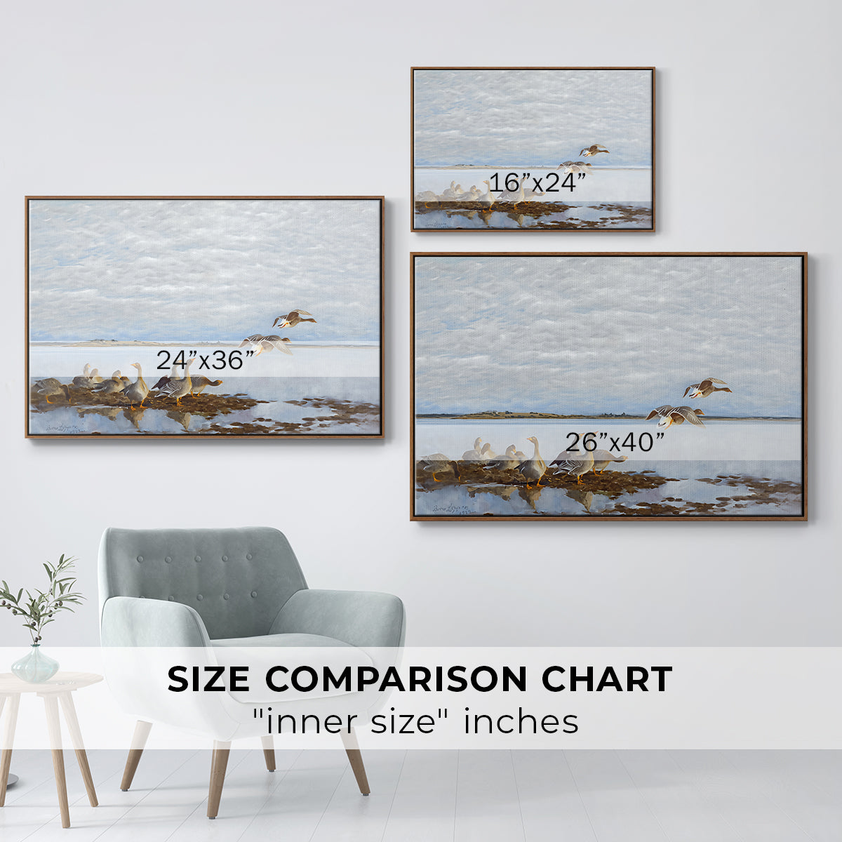 Size comparison chart for walnut floater framed canvas featuring Greylag Geese (Grågäss), 1922 by Bruno Liljefors.