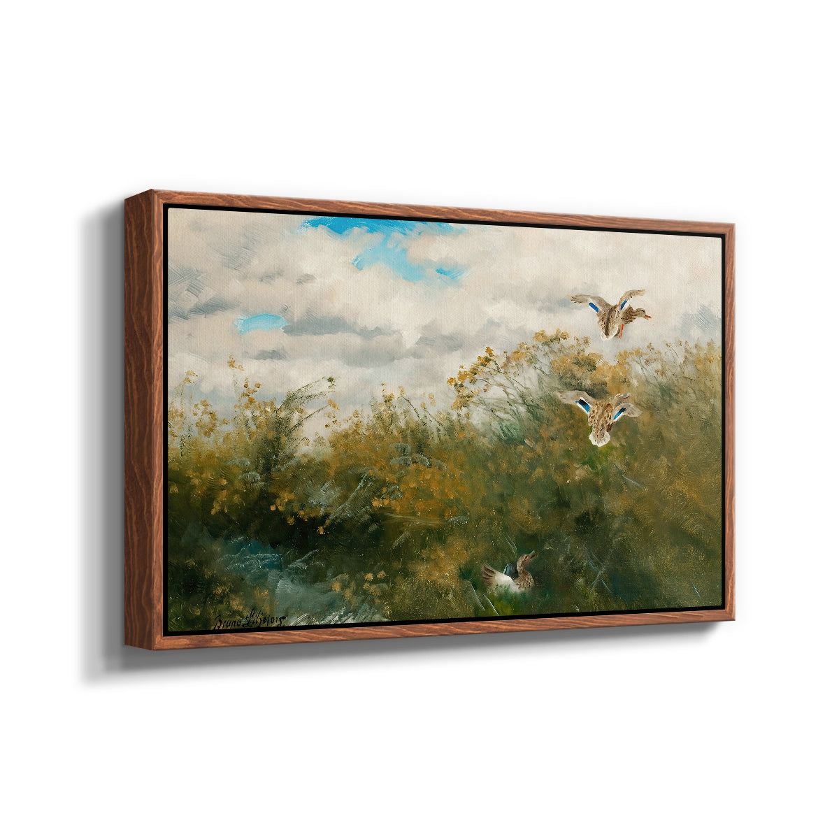 Angled view of Wild Ducks (Grasänder), 1890 by Bruno Liljefors in a walnut floater framed canvas.