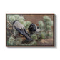 Hooded Crows (Kråkor), 1891 by Bruno Liljefors in a walnut floater framed canvas wall art display.