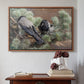 Walnut floater framed canvas featuring Hooded Crows (Kråkor), 1891 by Bruno Liljefors above an entryway table in a minimalist foyer.