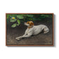 Portrait of a Dog, 1891 by Bruno Liljefors in a walnut floater framed canvas wall art display.