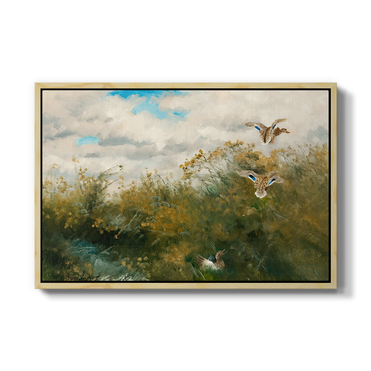 Wild Ducks (Grasänder), 1890 by Bruno Liljefors in a natural wood floater framed canvas wall art display.