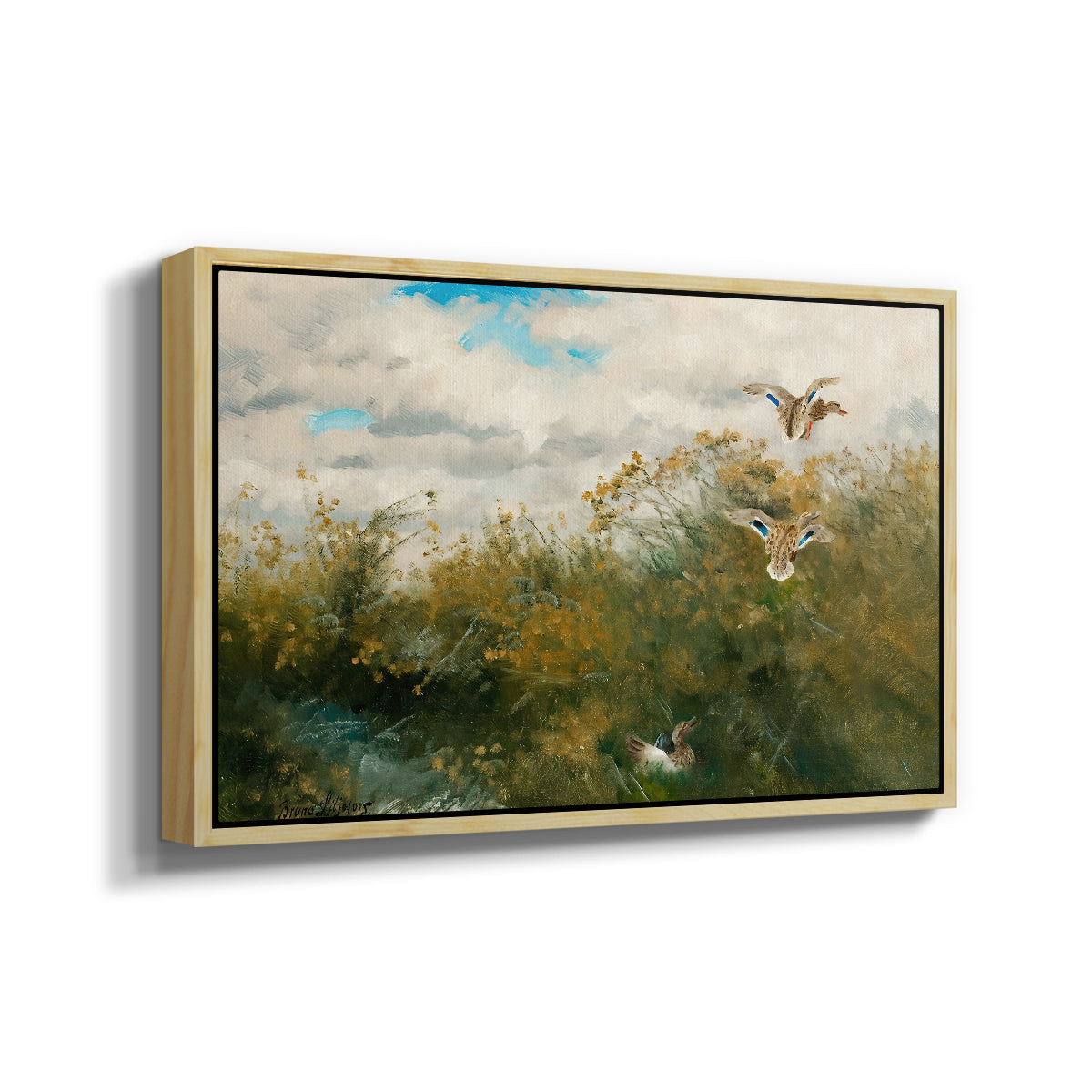 Angled view of Wild Ducks (Grasänder), 1890 by Bruno Liljefors in a natural wood floater framed canvas.