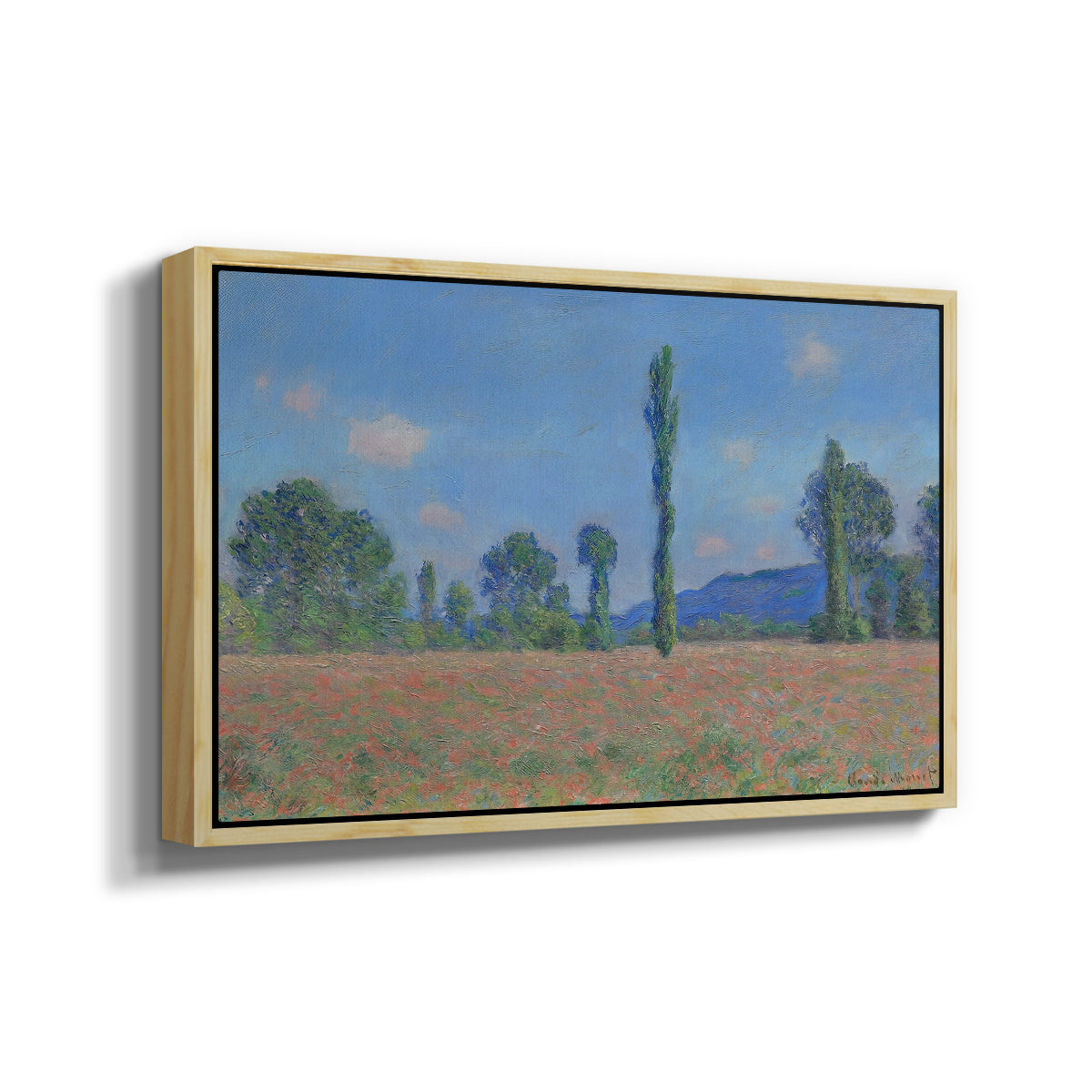 Angled view of Poppy Field (Giverny), 1890-1891 by Claude Monet in a natural wood floater framed canvas.