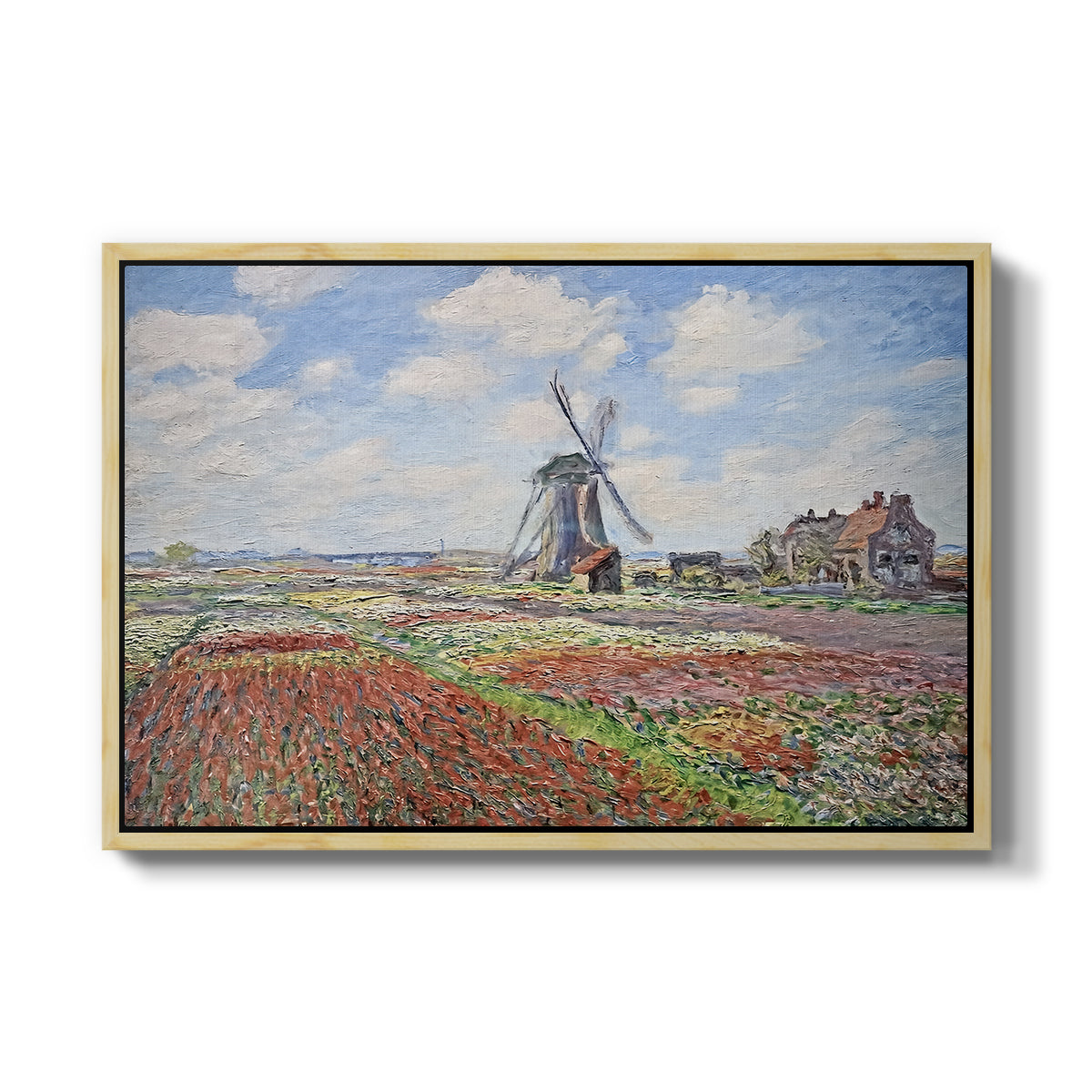 Tulip Fields with the Rijnsburg Windmill, 1886 by Claude Monet in a natural wood floater framed canvas wall art display.