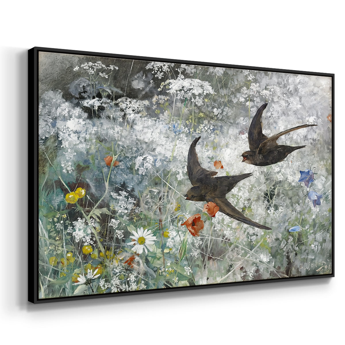 Angled view of Common Swifts, 1886 by Bruno Liljefors in a black floater framed canvas.