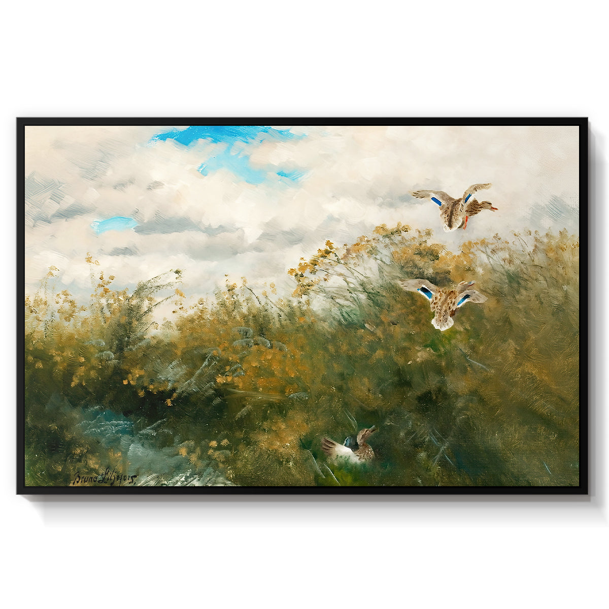 Wild Ducks (Grasänder), 1890 by Bruno Liljefors in a black floater framed canvas wall art display.