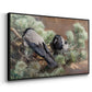 Angled view of Hooded Crows (Kråkor), 1891 by Bruno Liljefors in a black floater framed canvas.