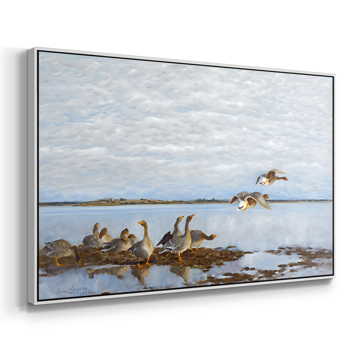 Angled view of Greylag Geese (Grågäss), 1922 by Bruno Liljefors in a white floater framed canvas.