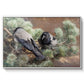 Hooded Crows (Kråkor), 1891 by Bruno Liljefors in a white floater framed canvas wall art display.