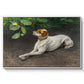 Portrait of a Dog, 1891 by Bruno Liljefors in a white floater framed canvas wall art display.