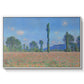 Poppy Field (Giverny), 1890-1891 by Claude Monet in a white floater framed canvas wall art display.