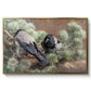 Hooded Crows (Kråkor), 1891 by Bruno Liljefors in a gold floater framed canvas wall art display.