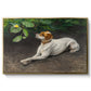 Portrait of a Dog, 1891 by Bruno Liljefors in a gold floater framed canvas wall art display.