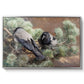 Hooded Crows (Kråkor), 1891 by Bruno Liljefors in a silver floater framed canvas wall art display.