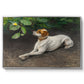 Portrait of a Dog, 1891 by Bruno Liljefors in a silver floater framed canvas wall art display.