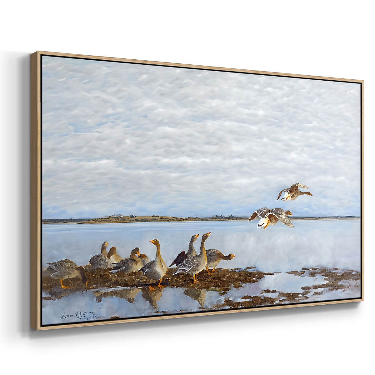 Angled view of Greylag Geese (Grågäss), 1922 by Bruno Liljefors in a natural wood floater framed canvas.