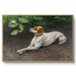 Portrait of a Dog, 1891 by Bruno Liljefors in a natural wood floater framed canvas wall art display.